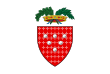 Provincie Ogliastra – vlajka