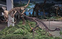 Газозавр и aгилизавр
