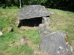 Das Großsteingrab Egypten im Sommer 2009