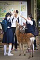 2016年8月31日 (水) 07:59時点における版のサムネイル