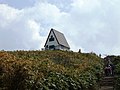 The top of Mount Hyōno from north