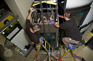 (?/7/2005) Same specimen being lowered into its final position at the Sant Ocean Hall of the National Museum of Natural History (NMNH) in Washington, D.C. Both specimens currently on display at the NMNH were flown from Spain aboard a C-17 Globemaster III as part of "Operation Calamari".[172]