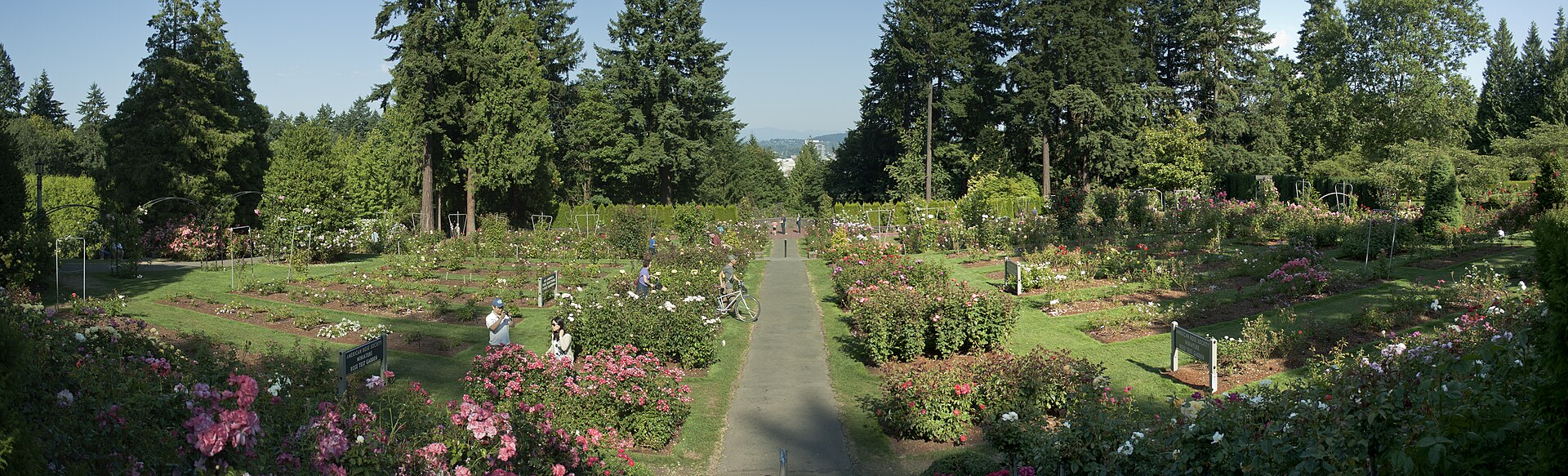 Rent a bicycle and ride to the Rose Garden