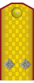 KoS-Army-Infantry-Lieutenant Colonel.svg