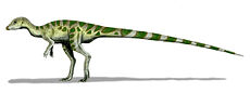 Leaellynasaura amicagraphica