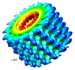 Abb. 3: Modell des Marburg-Virus. Maßstab 5 nm.