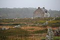 Menhirs de Lann-Grand-Viallarec