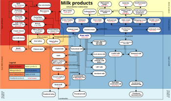 The 2009 Import and Export Market for Milk and Cream in Solid Form Containing More Than 1.5% Milkfat in Belgium Icon Group International