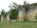 Château - Enceinte.