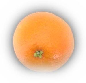 Orange-fruit