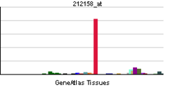 PBB GE SDC2 212158 at tn.png