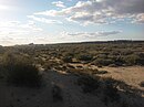 Marismas del Río Piedras y Flecha del Rompido