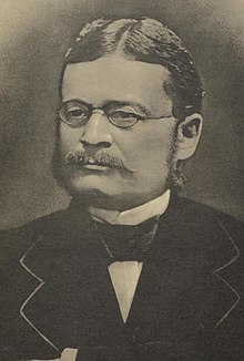 Reinhold Pauli