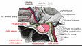 Vorschaubild der Version vom 15:26, 1. Jan. 2012