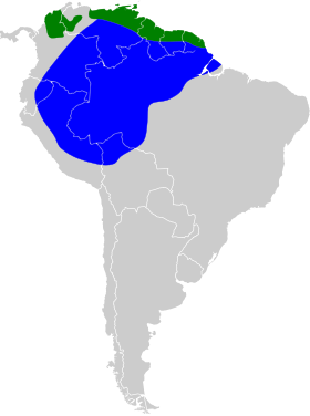 Distribución geográfica del semillero de Lesson.