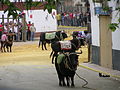 Toro de cuerda