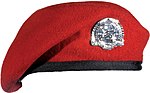 Боевой диспетчер ВВС США red beret.jpg