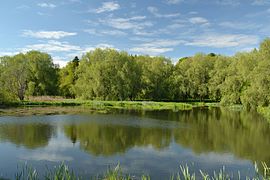 Undla, an impounded lake on the Loobu