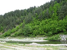 Varbitsa River 02.jpg