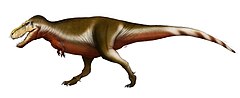 Zhuchengtyrannus magnus