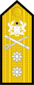 Dienstgradabzeichen eines Rear Admiral