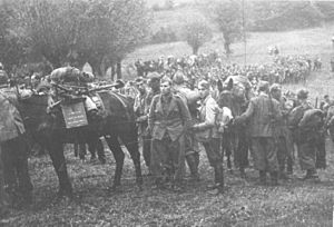 13. slovenska narodnoosvobodilna brigada na Primorskem