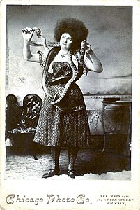 Photographie promotionnelle d'une charmeuse de serpents aux cheveux crépus.
