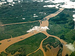 Aerial view of the Lower Paraná Delta, 2009-03-25.jpg