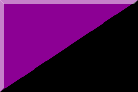 A bandeira púrpura-negra un as cores do anarquismo e o feminismo.