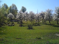 Skyline of Бланоју