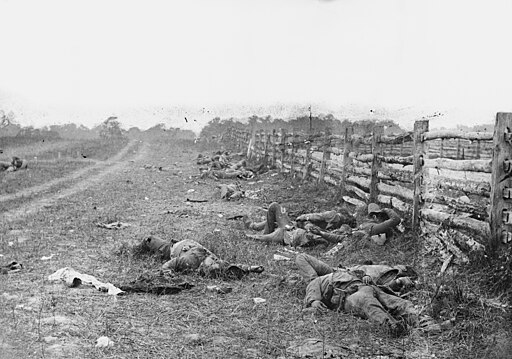 Photograph of the field at Antietam, American Civil War. Confederate dead by a fence at the Hagerstown Turnpike