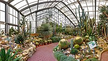 Das Schaugewächshaus „Aridhaus Amerika“ ist den Pflanzen aus den Trockenregionen Nord-, Mittel- und Südamerikas, insbesondere den Halbwüsten und Wüsten, gewidmet.