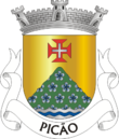 Vlag van Picão