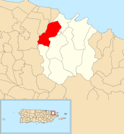 Location of Ciénaga Baja within the municipality of Río Grande shown in red