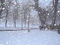 Schneefall im Düsseldorfer Hofgarten