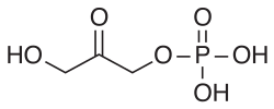 Miniatura para Dihidroxiacetona fosfato