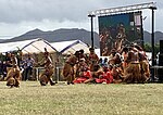 Vignette pour Danse calédonienne