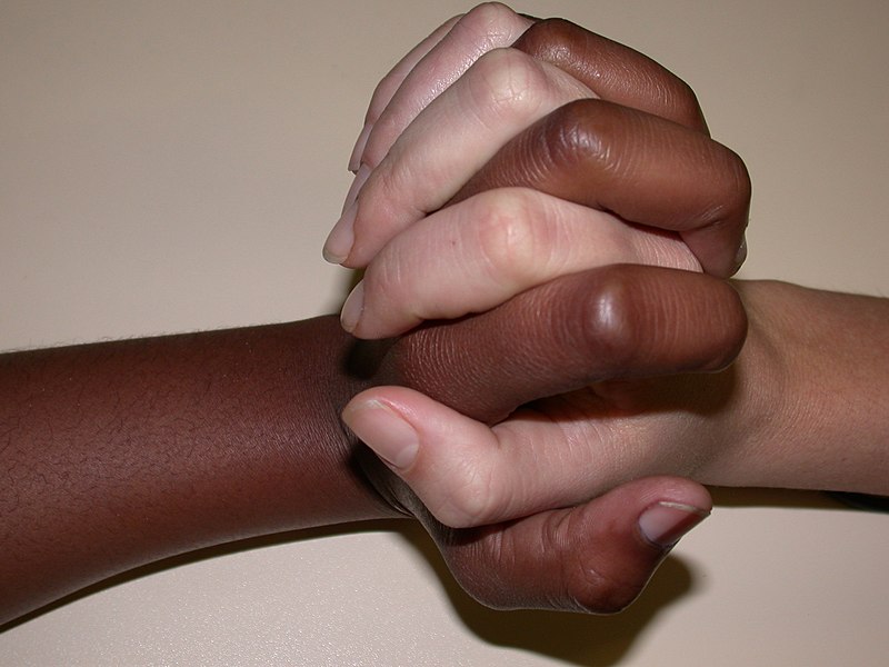 File:Diversity and Unity.jpg