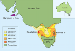 Distribución geográfica del taxón emú y reconstrucción de las líneas costeras de Tasmania. D. baudinianus aparece en púrpura.