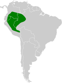 Distribución geográfica del hormiguerito colirrufo.