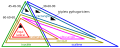 Diagramme d'Euler des types de triangles.