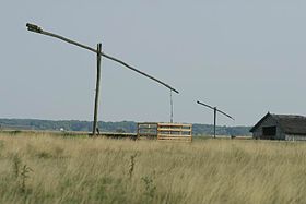 Типичный пейзаж Хортобадьской пусты в Венгрии: колодцы-журавли.