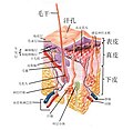 2019年6月16日 (日) 03:41版本的缩略图