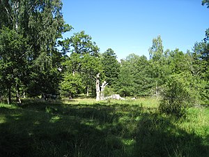 Ängsmarkerna i hagen.