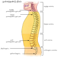 17:02, 12 சனவரி 2014 இலிருந்த பதிப்புக்கான சிறு தோற்றம்