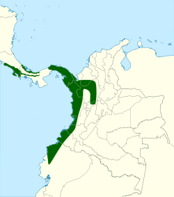 Distribución geográfica del saltarín coroniazul occidental.