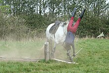 Falling as a part of recreational activities can cause spinal cord injuries. Man falling of horse.jpg