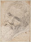 Michelangelo Buonarroti Michelango Portrait by Volterra.jpg