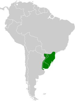 Distribución geográfica de la monterita rabadilla roja.