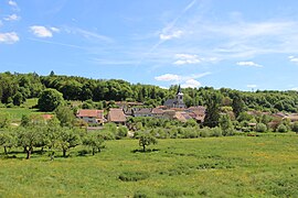 A general view of Montigny-lès-Vaucouleurs